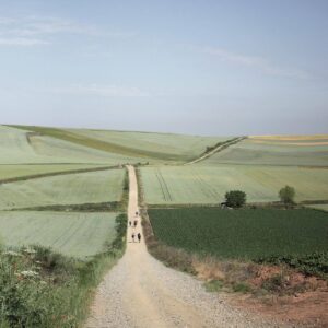 caminoen